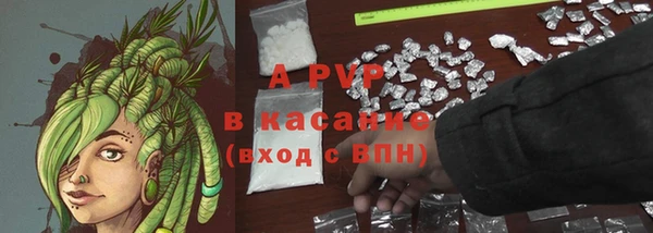 гашик Грязи