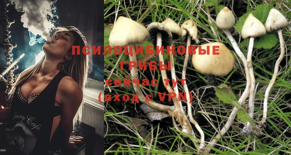 бошки Новодвинск