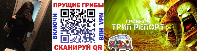 Галлюциногенные грибы Cubensis  хочу   mega как зайти  Новокубанск 