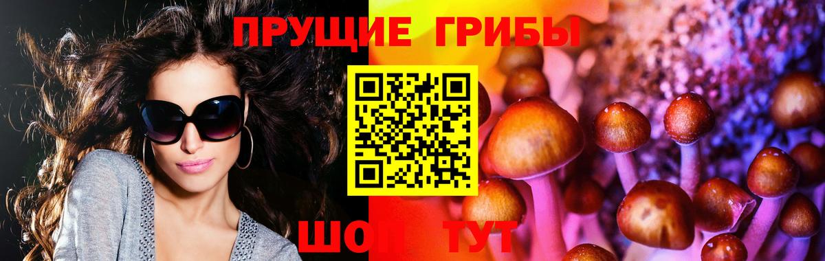 как найти закладки  Псилоцибиновые грибы мухоморы  Псилоцибиновые грибы GOLDEN TEACHER  Вход с VPN  Новокубанск 